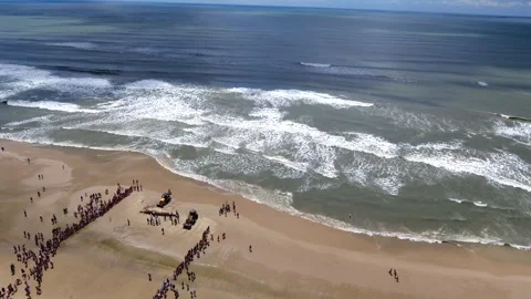 Dead whale carcass on beach aerial reveal to sea with crowd and backhoes Stock Footage 327853464