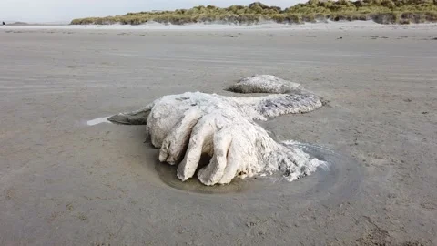 Dead whale remains lying on Narin beach by Portnoo - County Donegal, Ireland. Stock Footage 151588883