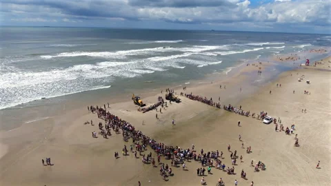 Dead whale stranded on Imbe beach wide aerial orbit with crowd and two backhoes Stock Footage 327852582