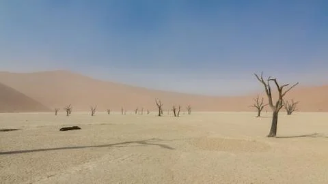 Dead zone Stock Photos