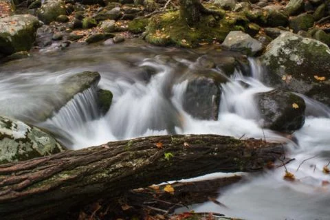 Deadfall log across a portion of a creek in the Great Smoky Mountains in fall Foto stock