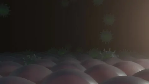 Deadly coronavirus or flu virus particles being absorbed by lungs. Severe vir Stock Footage 142808568