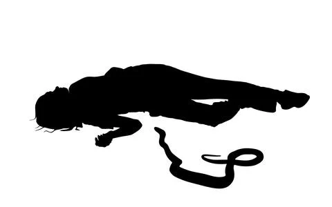 Deadly poison snake venom bite girl lying on the ground Stock Illustration