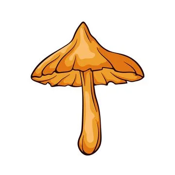 Deadly Webcap mushroom with an orange cap and stem in cartoon style. Perfect for Stock Illustration