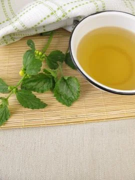 Deadnettle bath Stock Photos