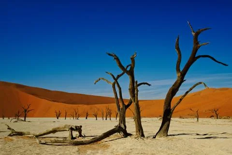 Deadvlei Namibia dead trees Stock Photos