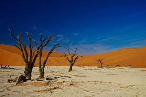 Deadvlei, Namibia, dead trees Stock Photos