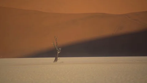 Deadvlei Namibia Stock Footage 86658498
