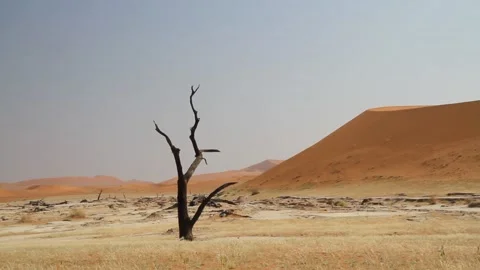 Deadvlei in Namibia Stock Footage 141309222
