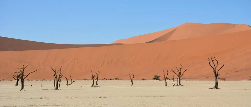 Deadvlei Namibia Stock Photos