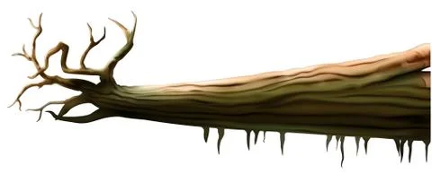 Deadwood Stock Illustration