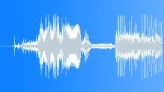 Deal Card 02 Sound Effect