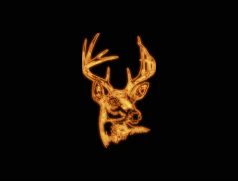 Dear Stock Footage 159680960