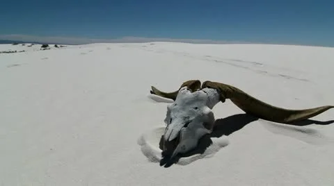 Death In Desert Sand Stock Footage