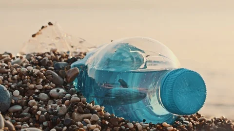 Death Due To Plastic Video stock 119955546