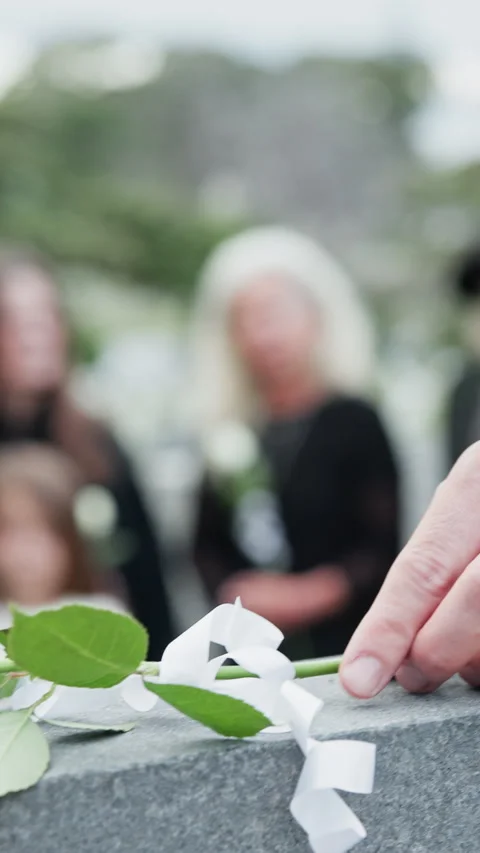 Death, hands and white rose on gravestone at funeral for grief, mourning or Stock Footage 331496193