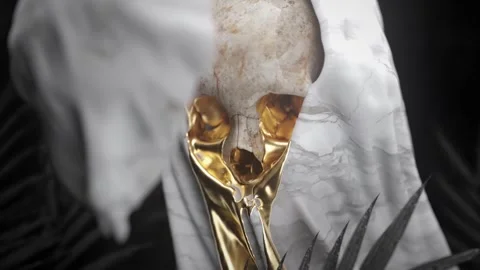 Death mask in the statue Stock Footage 292229872