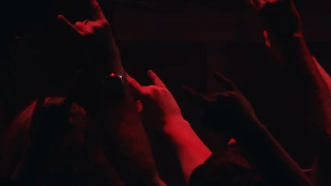 Death metal crowd Stock Footage