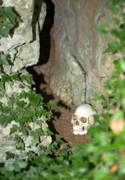 Death sceene Stock Photos