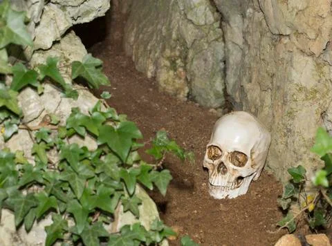 Death sceene Stock Photos