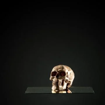 Death Skull Stock Photos