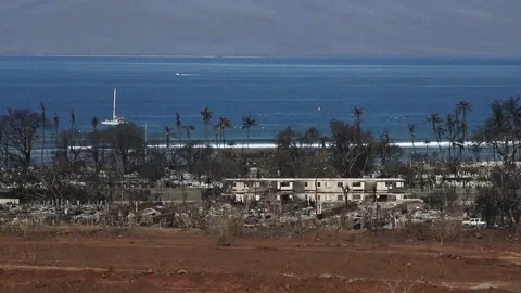 Death toll rises to 101 in devastating Maui wildfires, US, US - 16 Aug 2023 Stock Footage 248034303