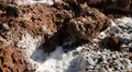 Death Valley Badwater 05 Salt Crystal Closeup Dolly HD Footage