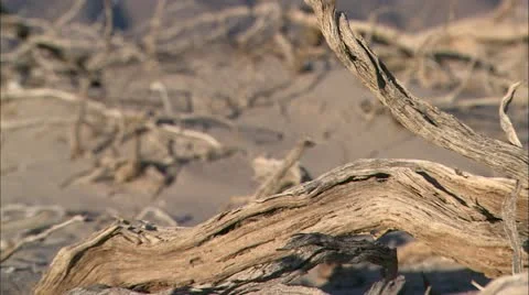 Death valley Stock Footage 22637461