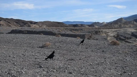 Death Valley Video stock 100522494