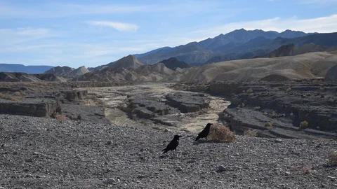 Death Valley Stock Footage 100522731