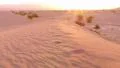 Death Valley HS 15 Sand Dunes Sunrise Time Lapse x20 Footage