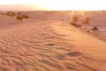 Death Valley HS 16 Sand Dunes Sunrise Loop Web Footage
