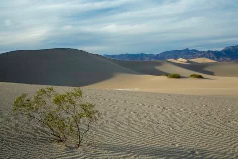 Death Valley Stock Photos