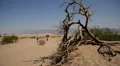 Death Valley Sand Dunes 01 Mesquite Flat Dunes Desert Tourists Circa HD Footage