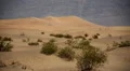 Death Valley Sand Dunes 02 Mesquite Flat Dunes Desert HD Footage