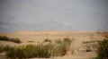 Death Valley Sand Dunes 06 Mesquite Flat Dunes Desert HD Footage