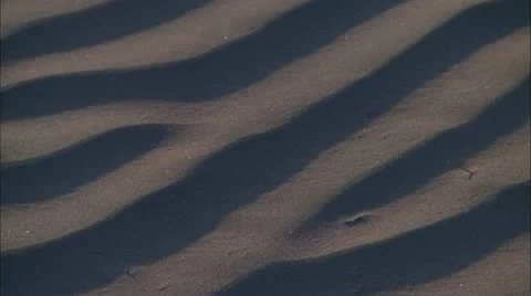 Death valley14 Stock Footage 22637512