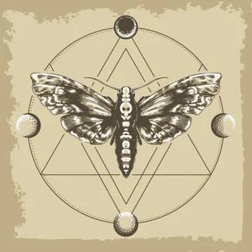 Deaths Head Hawk Moth in Esoteric Astrological Circle Retro Illustration Stock Illustration