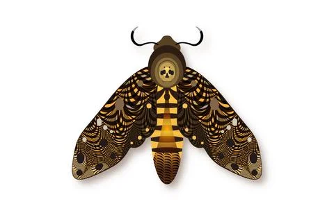 Death's head moth in dark brown colors. Night mystical butterfly with a skull Stock Illustration