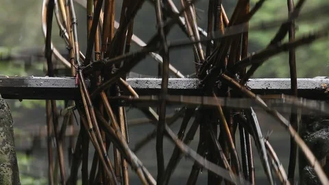 Deatils the Water Mill Stock Footage 107310108