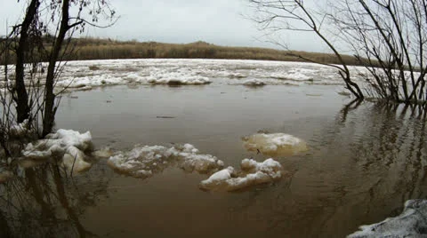 Debacle 01 Stock Footage 22583846