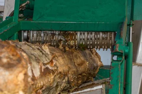 Debarking machine Stock Photos