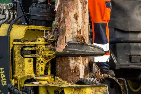 Debarking tool Stock Photos