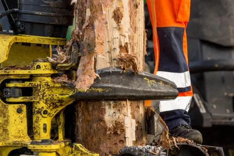 Debarking tool Stock Photos