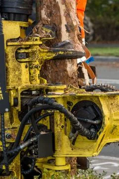 Debarking tool Stock Photos