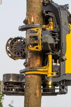 Debarking tool Stock Photos