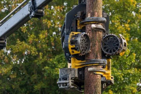 Debarking tool Foto stock