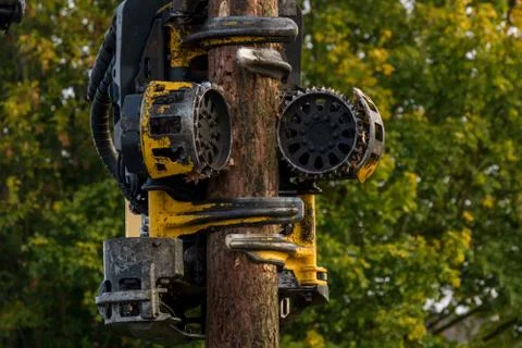 Debarking tool Stock Photos