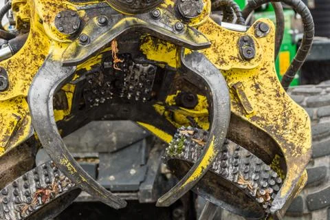 Debarking tool Stock Photos