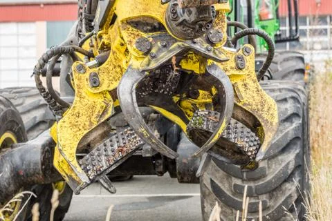 Debarking tool Stock Photos